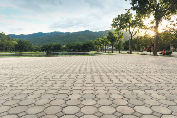 Best Commercial Driveway Pavers  in Pasadena Hills, MO